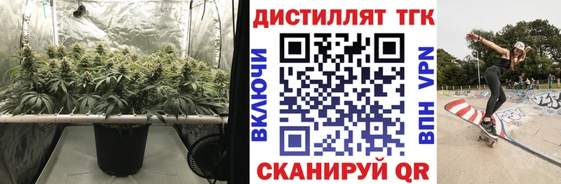 ТГК концентрат  где найти   Бугульма 
