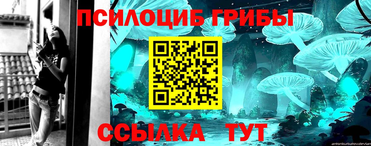 Псилоцибиновые грибы Psilocybine cubensis Бугульма
