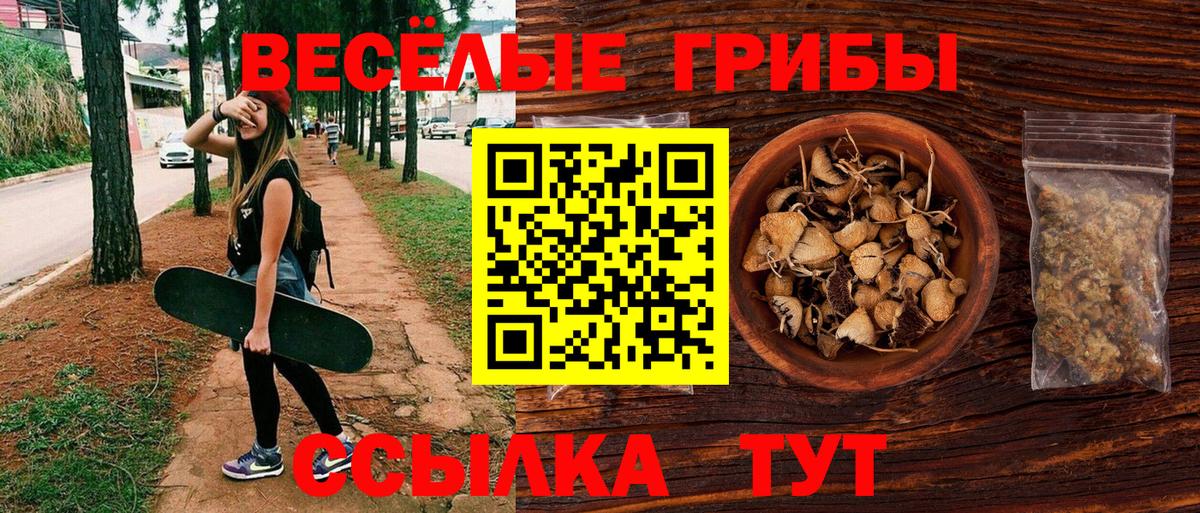 Псилоцибиновые грибы ЛСД Бугульма